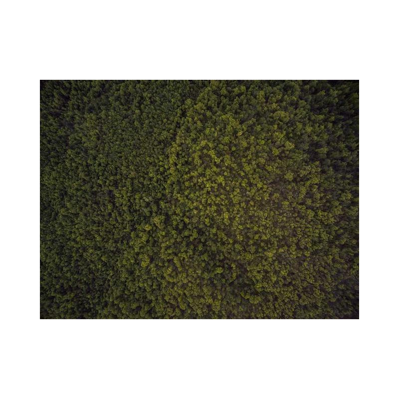 Fantastic Iron Coat fr-FR